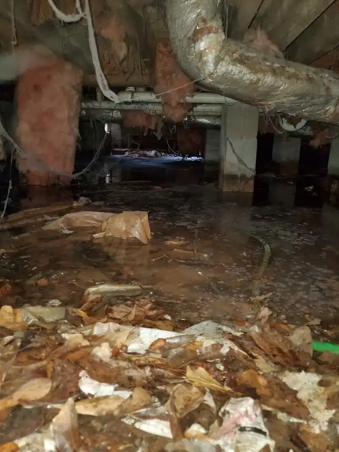 Crawl space flood assessment for Leak Detection & Repair in Connersville